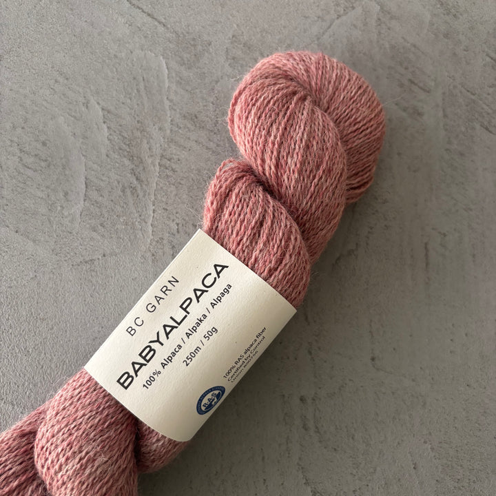 Baby Alpaca 10/2