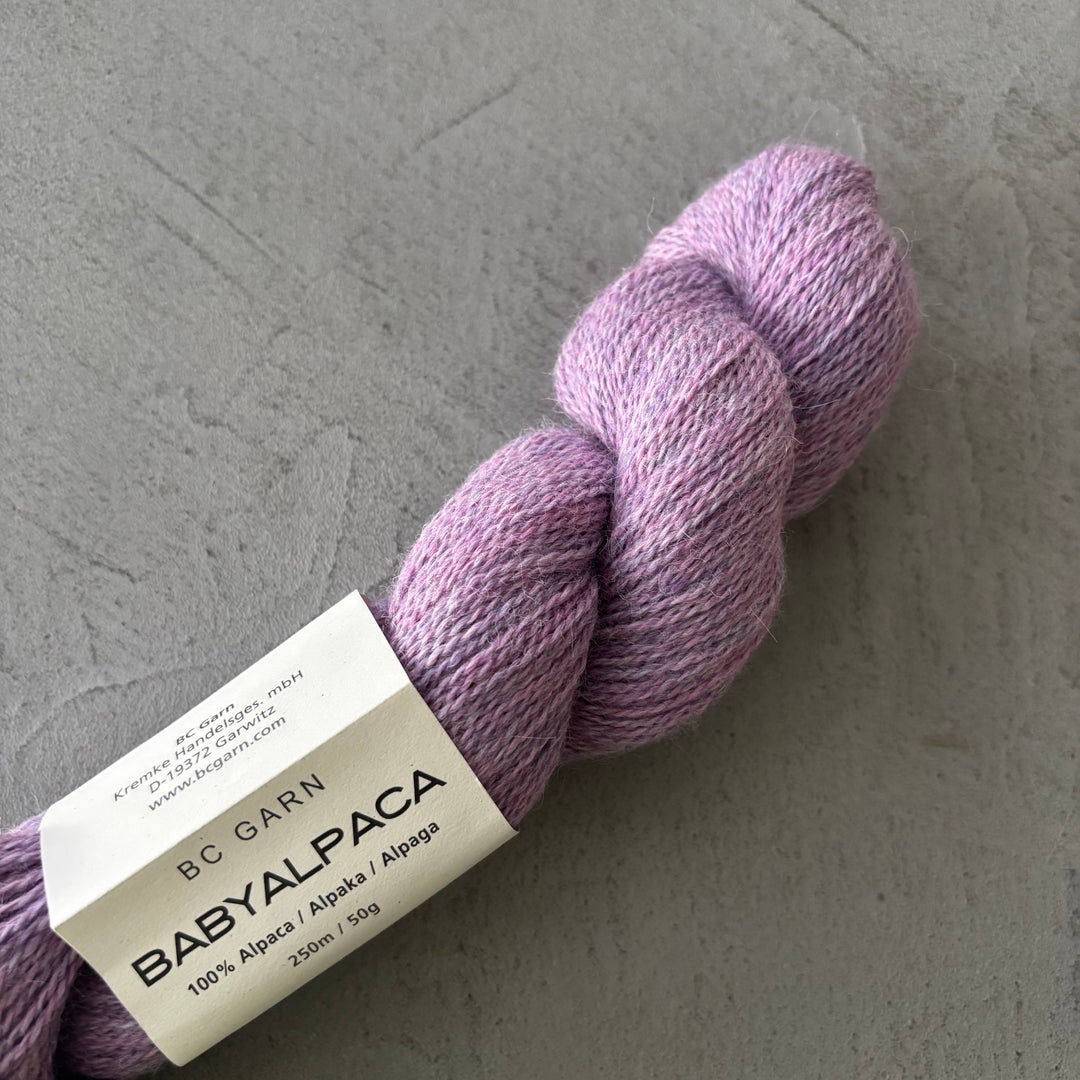 Baby Alpaca 10/2